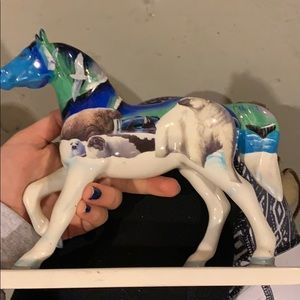 Northern light painted pony